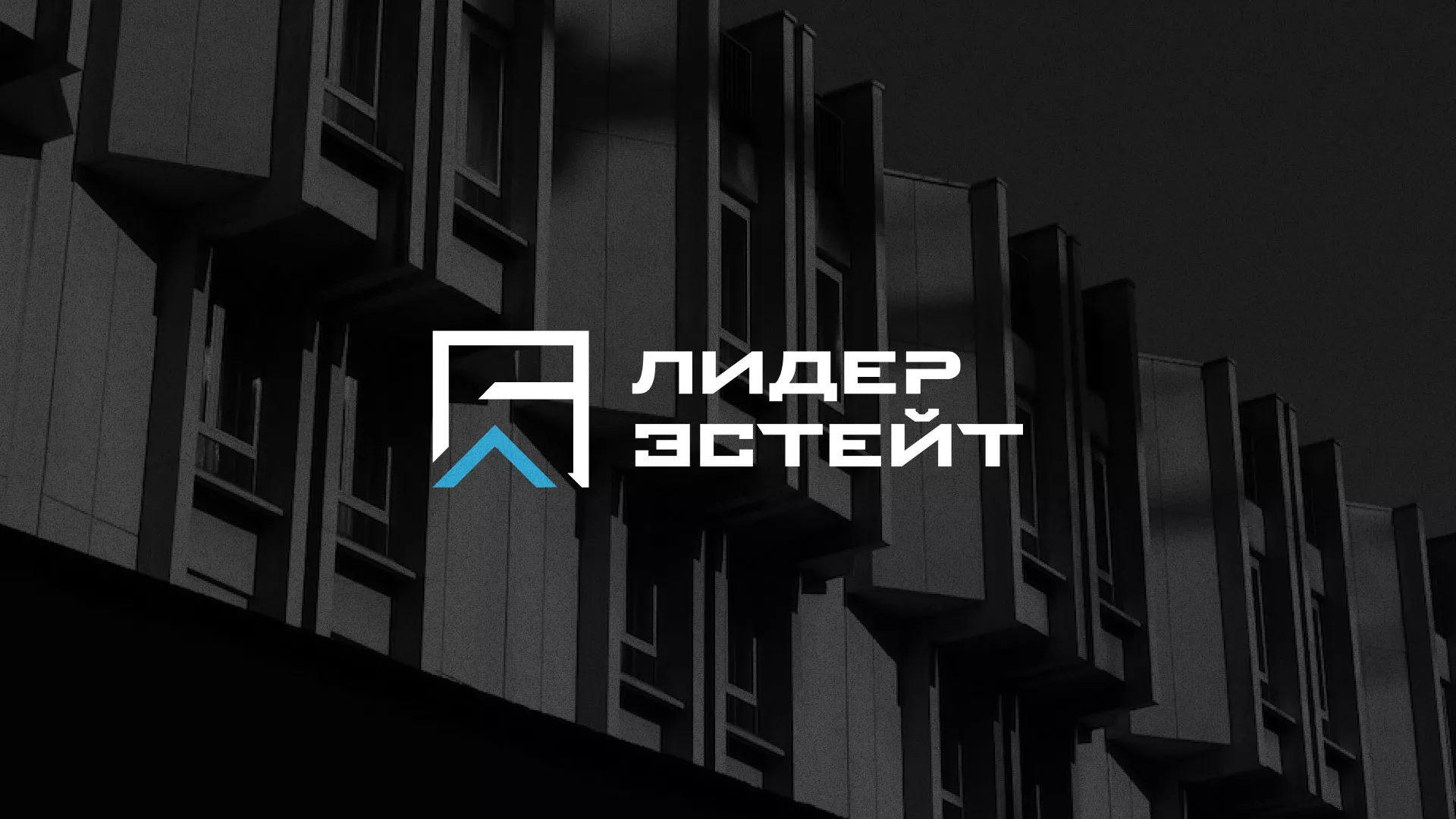 Разработка логотипа агентства недвижимости «Лидер Эстейт» в Кондрово